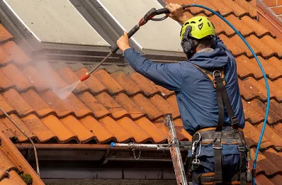 Démoussage et hydrofuge de toiture à Verel-Pragondran